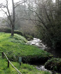 collyers brook