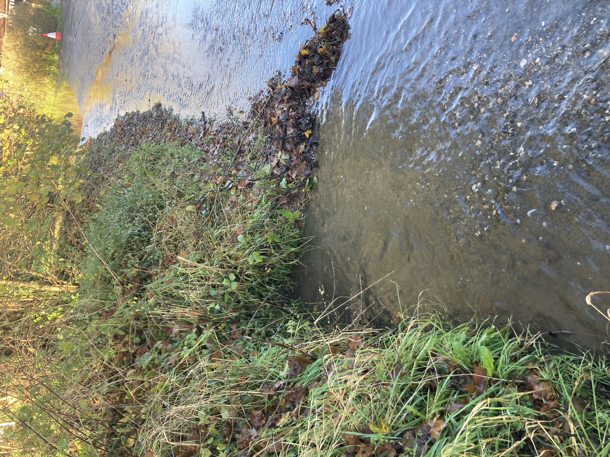 Update about Flooding at Pipers Mill